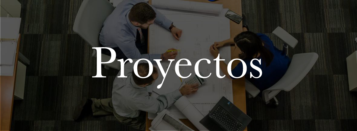 proyectos